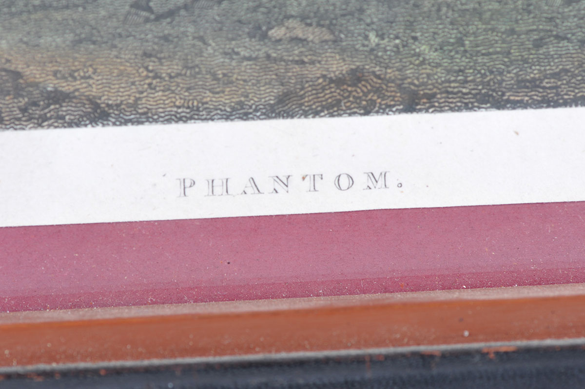 Two Custom Framed Hand Tinted Equine Lithographs