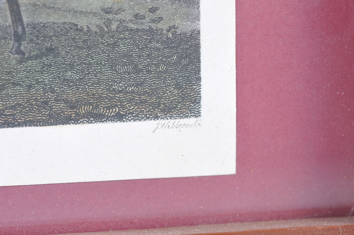 Two Custom Framed Hand Tinted Equine Lithographs