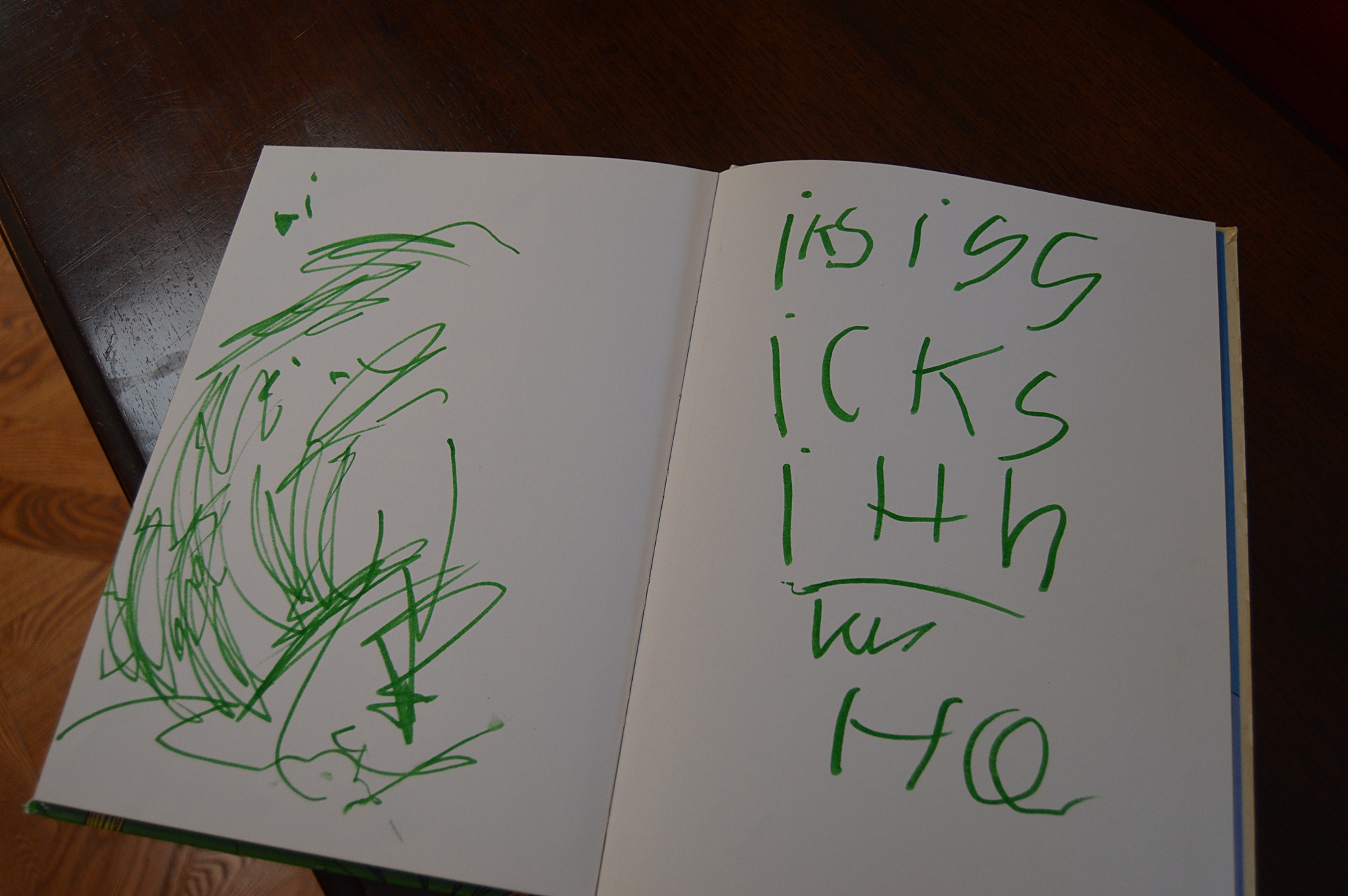 First Edition Copy of "The Lorax" by Dr. Seuss