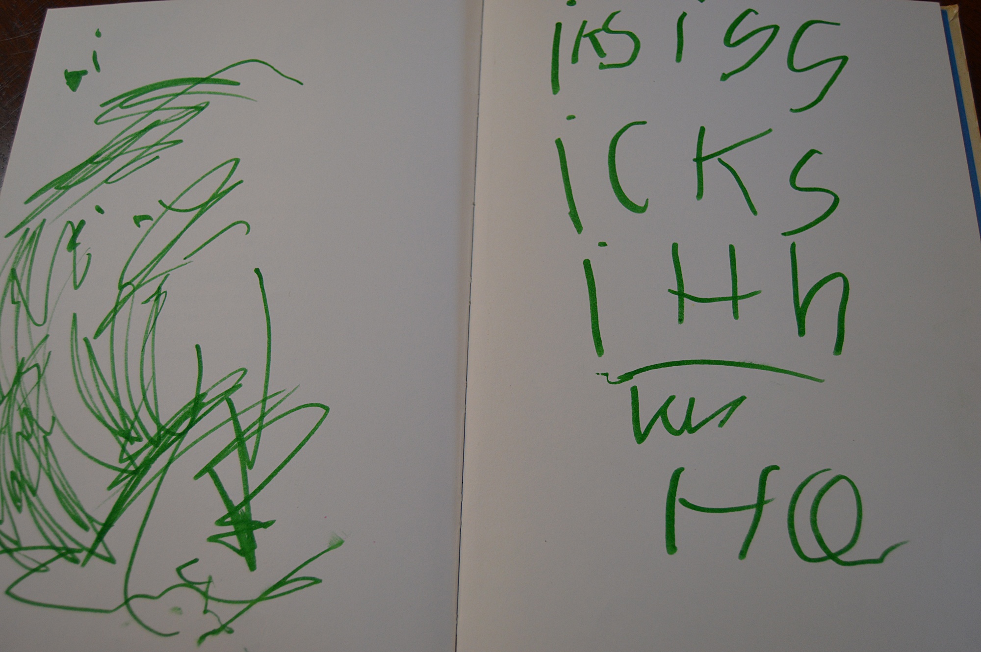 First Edition Copy of "The Lorax" by Dr. Seuss