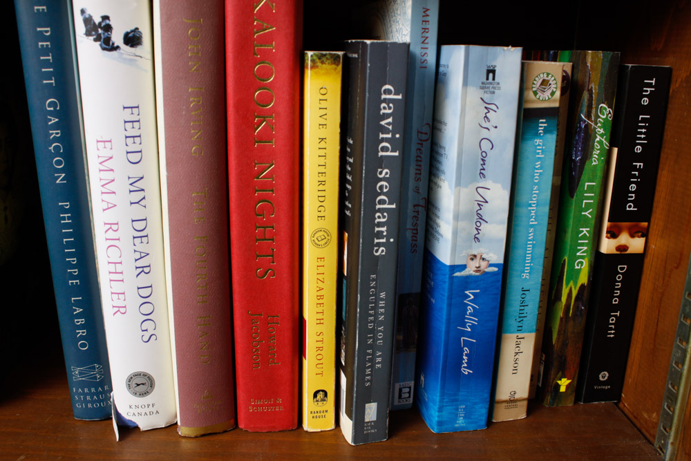 Collection Of Modern Fiction And Non-Fiction Titles