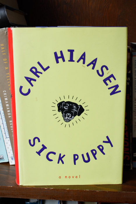 Collection Of Modern Fiction And Non-Fiction Titles