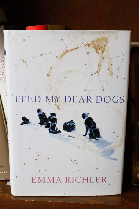 Collection Of Modern Fiction And Non-Fiction Titles