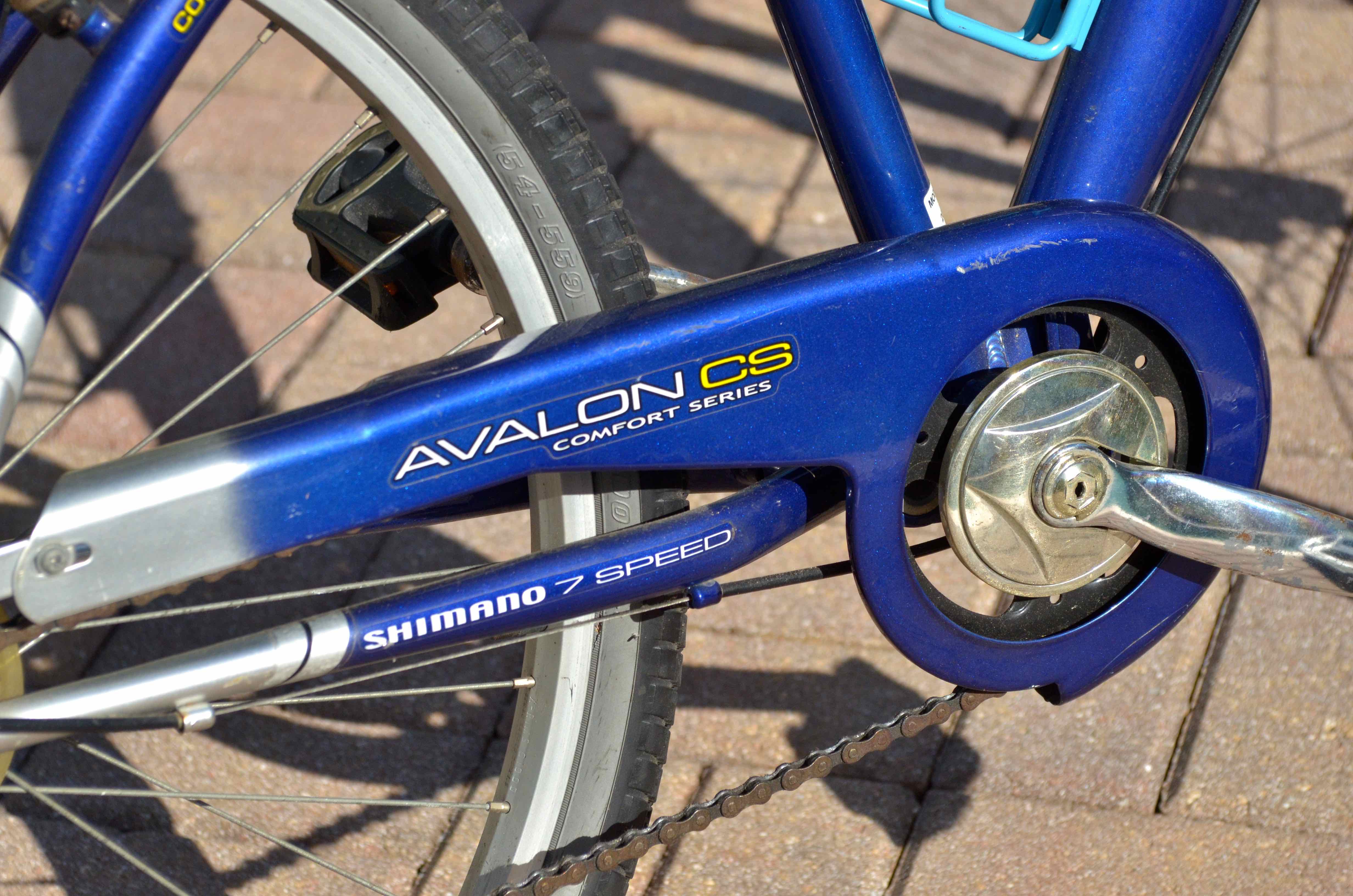 Avalon Men's Bike