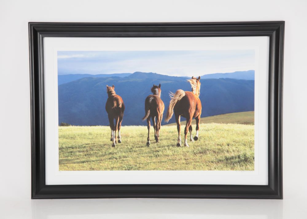 Signed and Numbered Debra Marlin Photographic Print