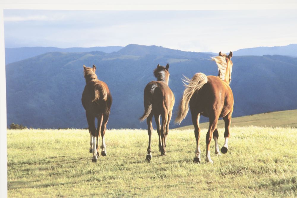 Signed and Numbered Debra Marlin Photographic Print