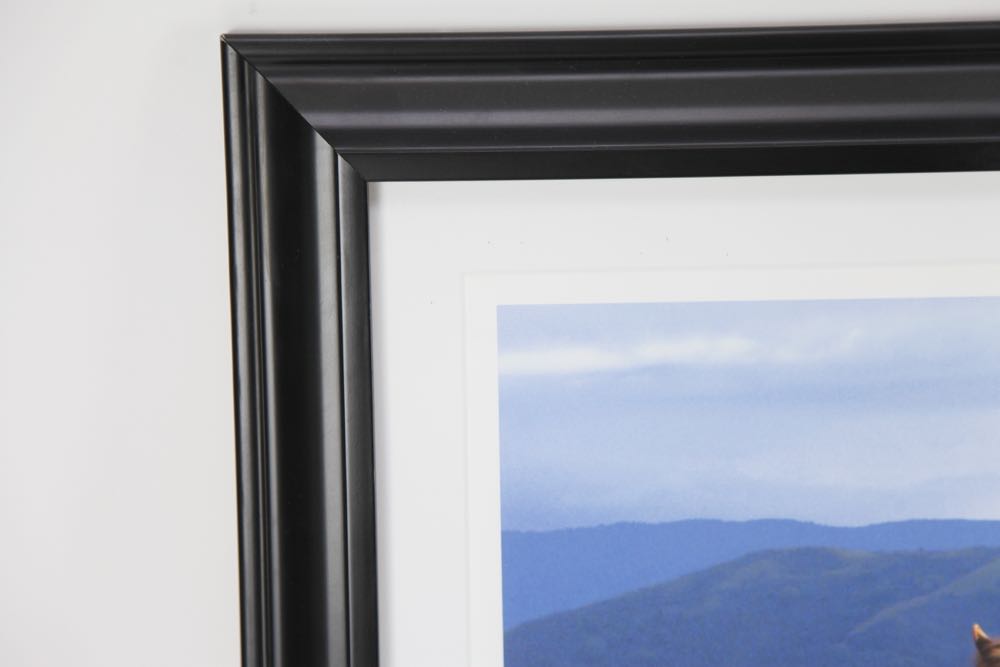 Signed and Numbered Debra Marlin Photographic Print