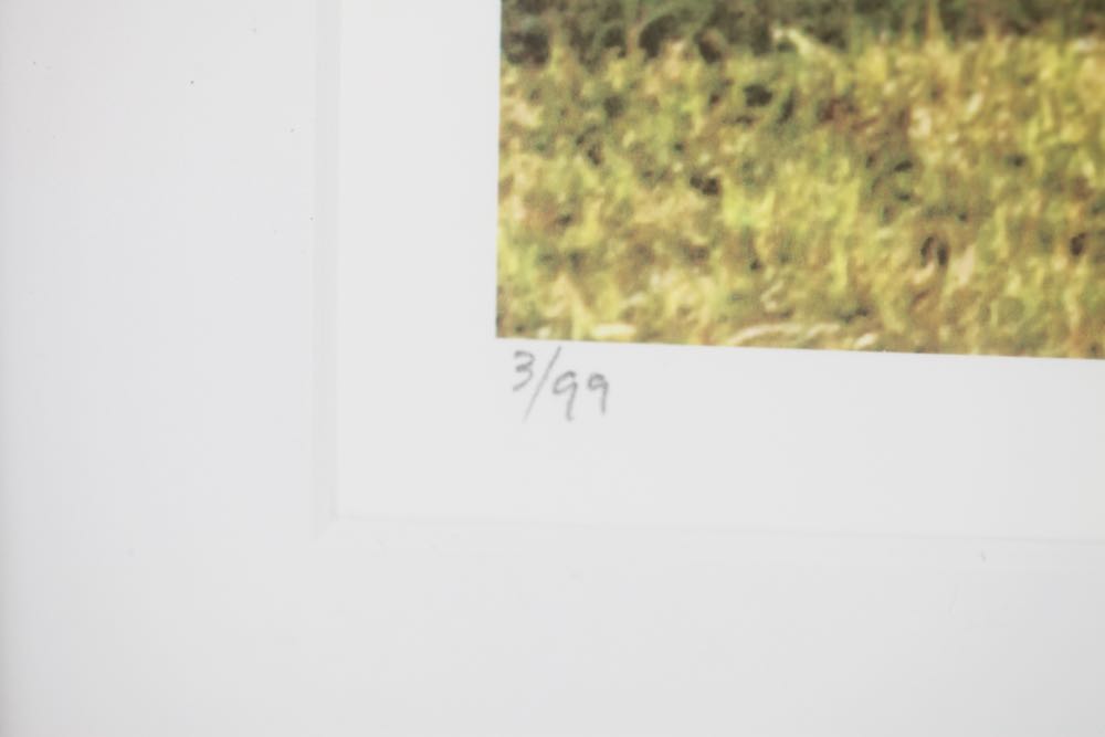 Signed and Numbered Debra Marlin Photographic Print