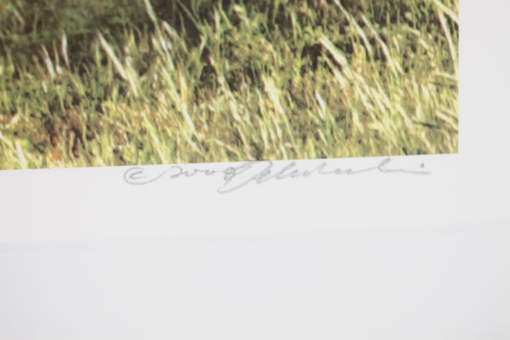 Signed and Numbered Debra Marlin Photographic Print