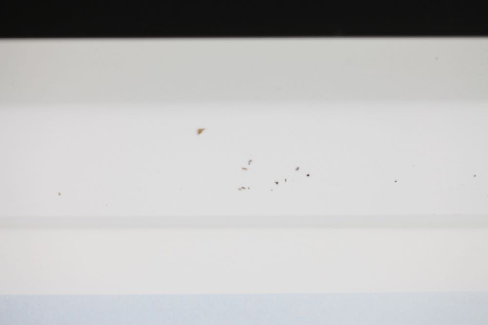 Signed and Numbered Debra Marlin Photographic Print