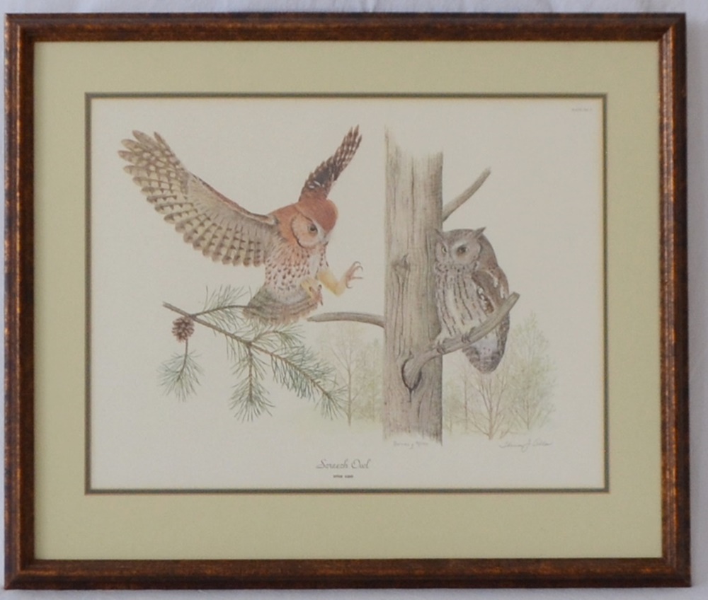 "Screech Owl"Limited Edition Signed Print After Thomas J. Allen