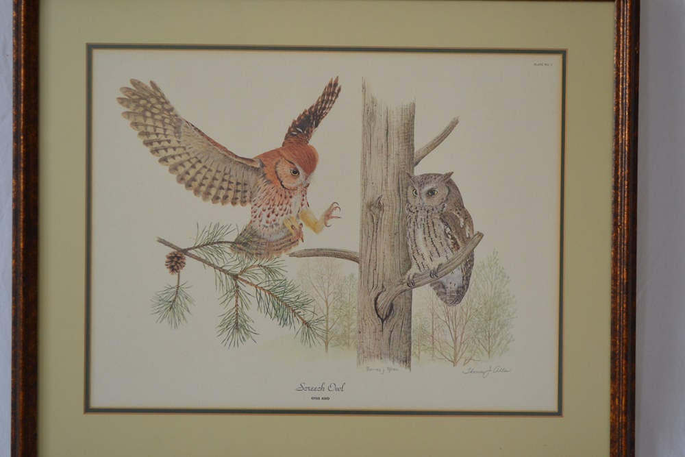 "Screech Owl"Limited Edition Signed Print After Thomas J. Allen