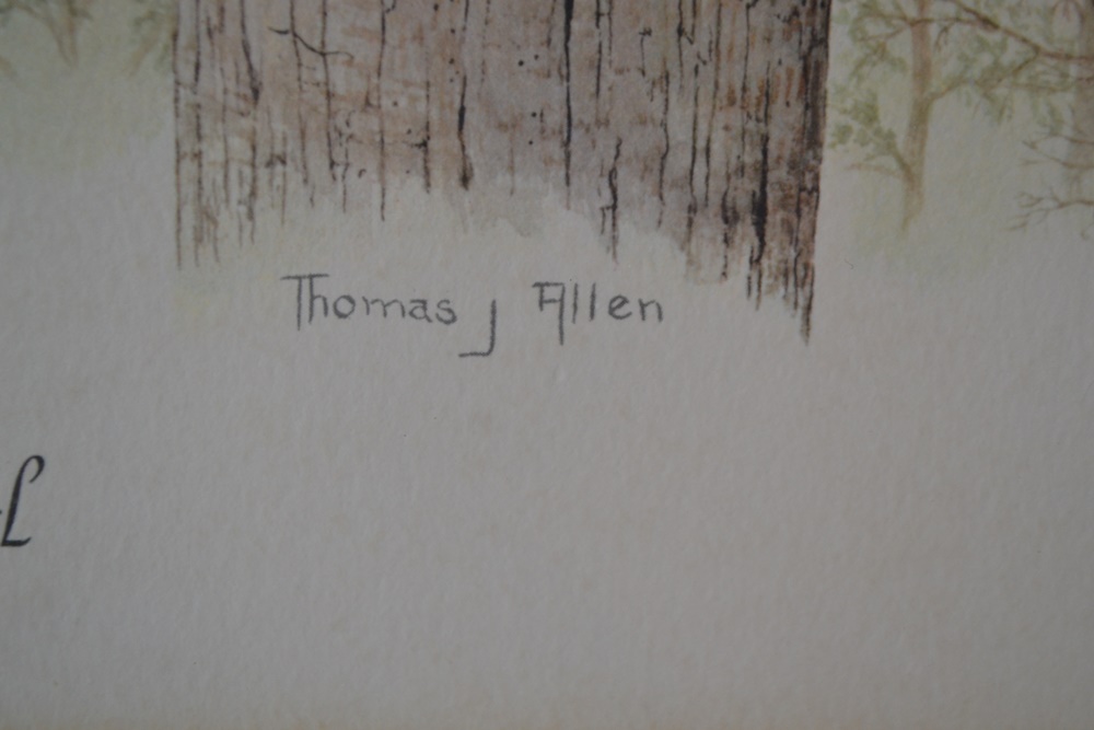 "Screech Owl"Limited Edition Signed Print After Thomas J. Allen