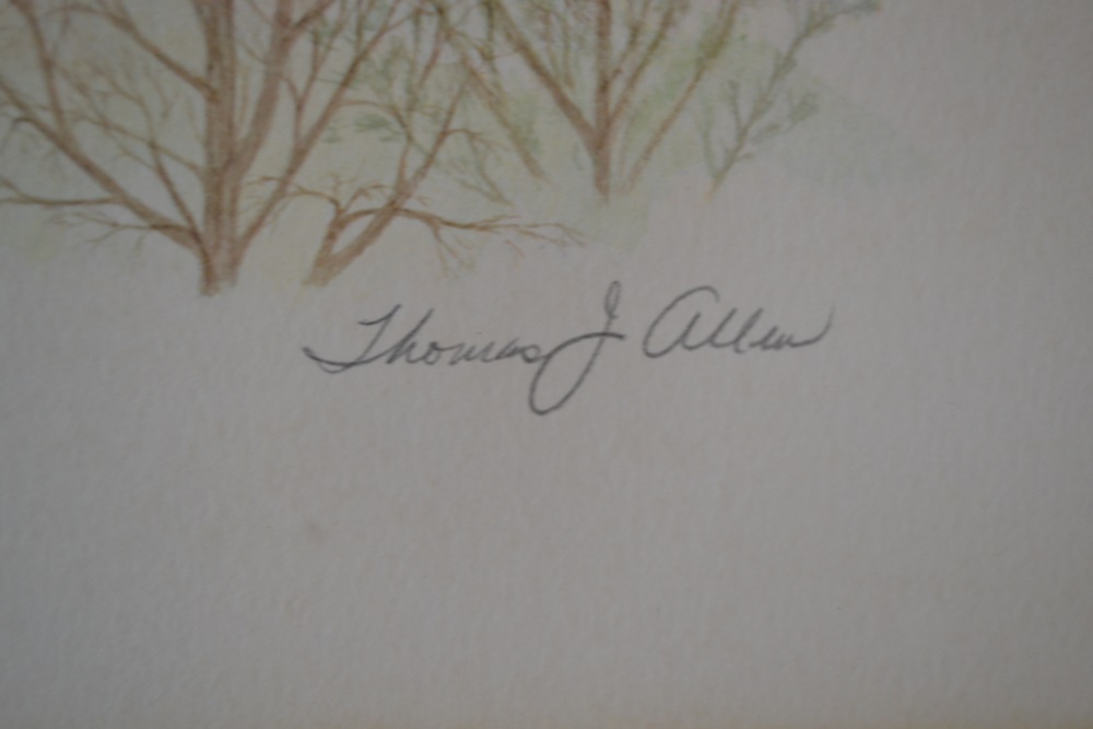 "Screech Owl"Limited Edition Signed Print After Thomas J. Allen