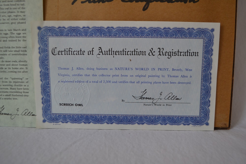 "Screech Owl"Limited Edition Signed Print After Thomas J. Allen