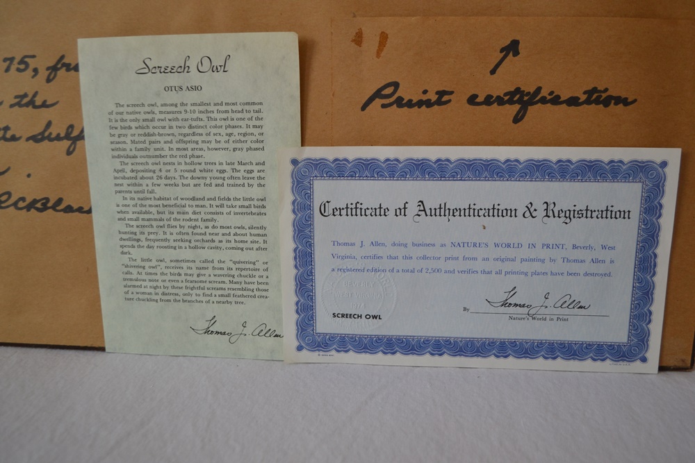 "Screech Owl"Limited Edition Signed Print After Thomas J. Allen