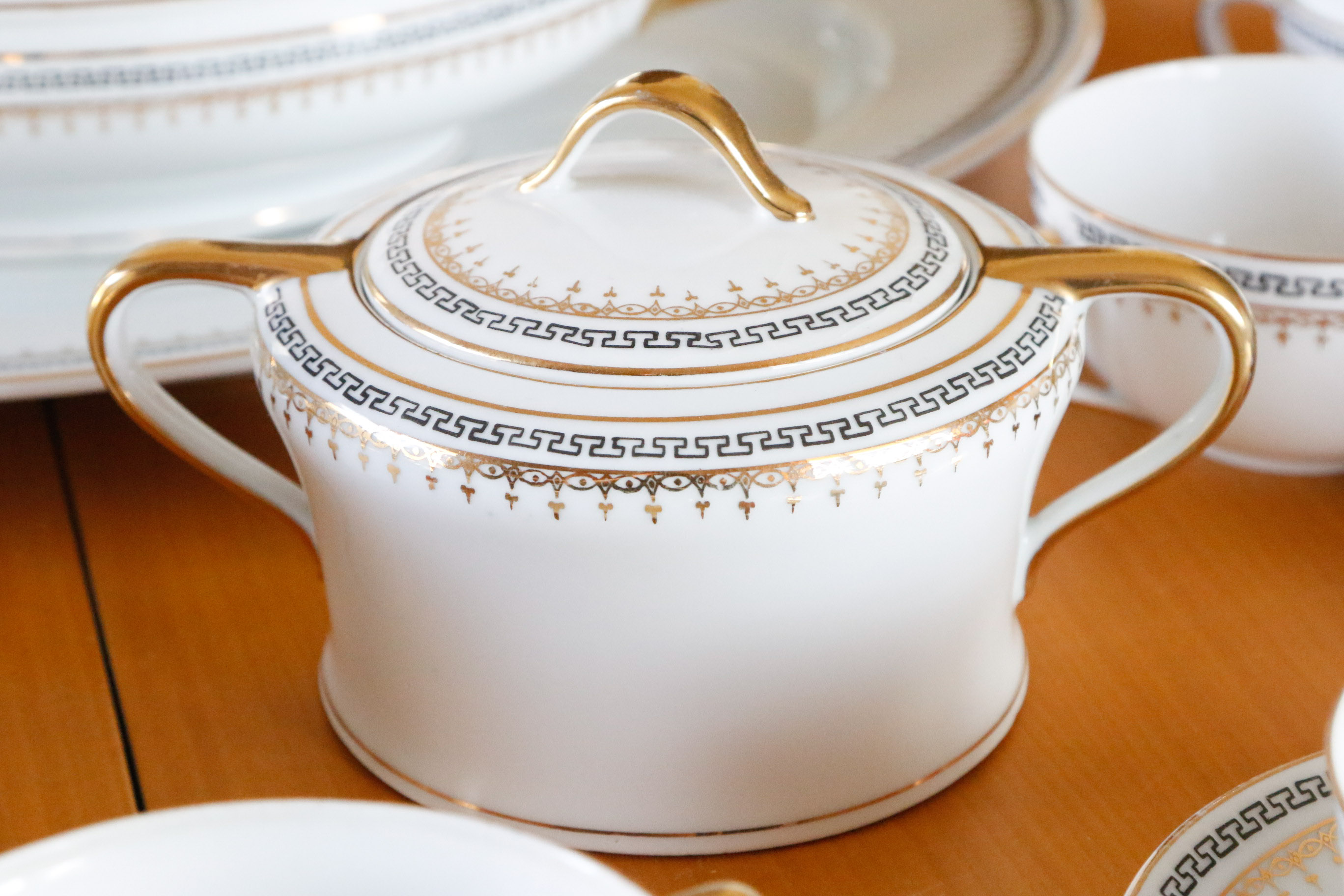 Austria Hub Fine China Dinnerware