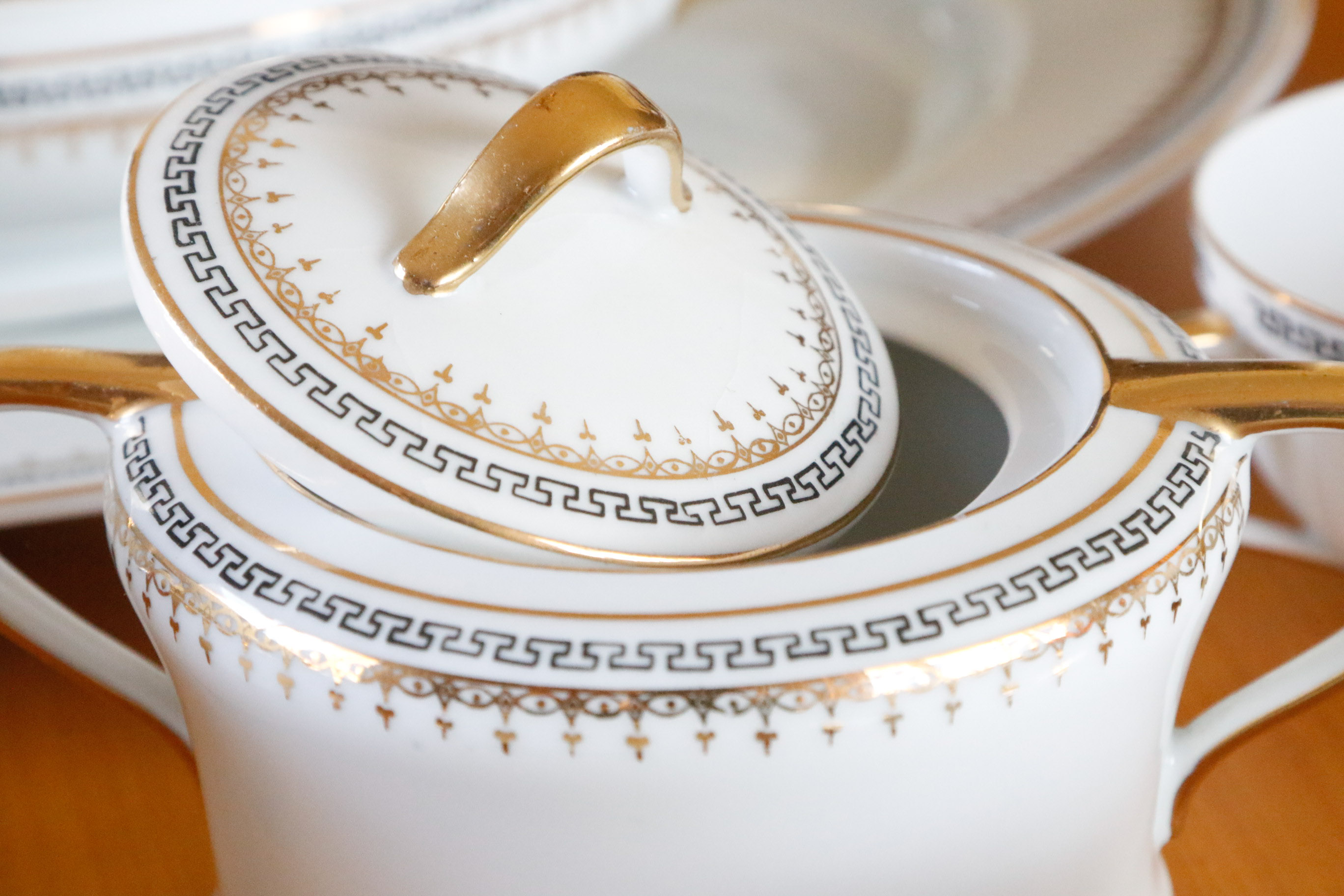 Austria Hub Fine China Dinnerware