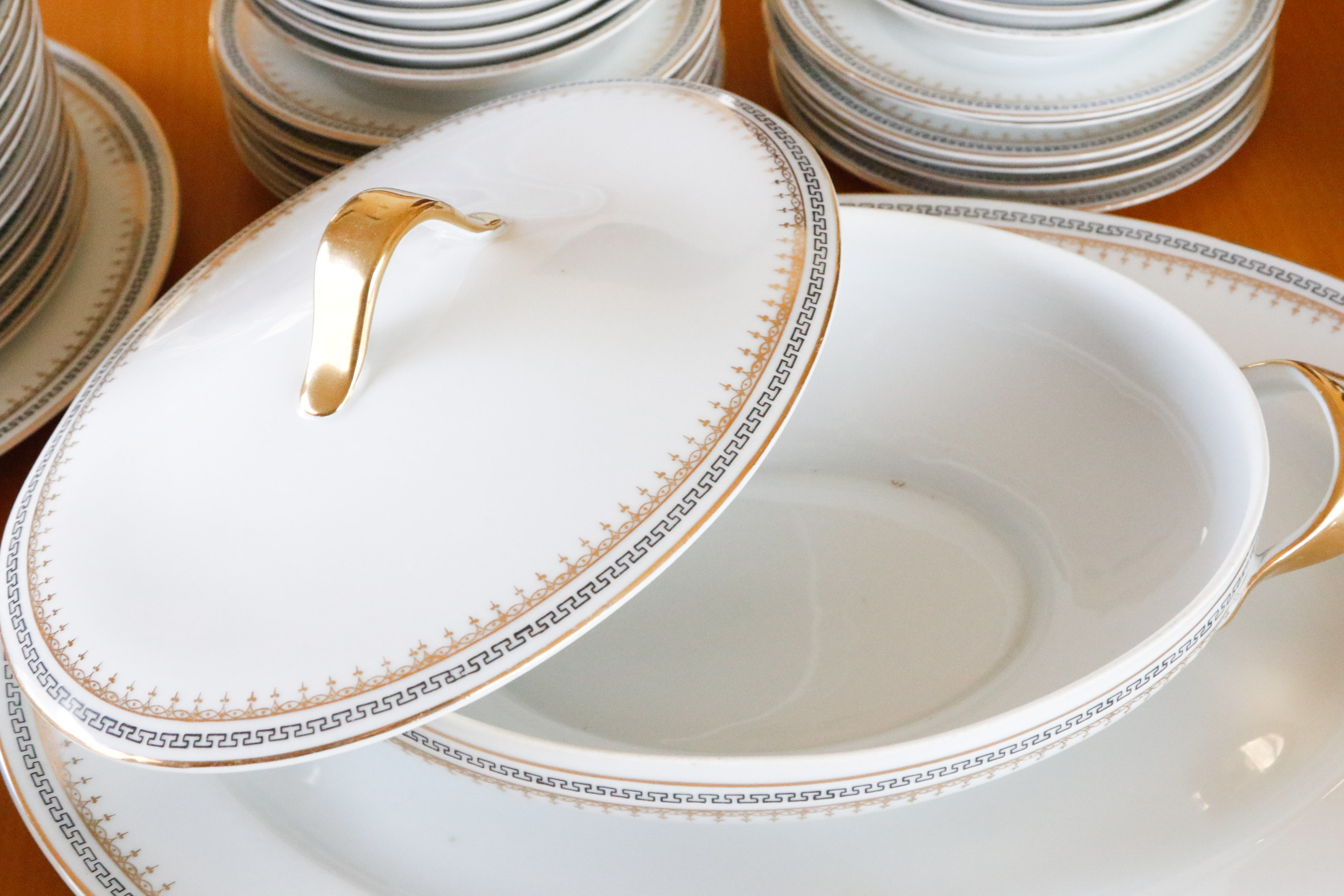 Austria Hub Fine China Dinnerware