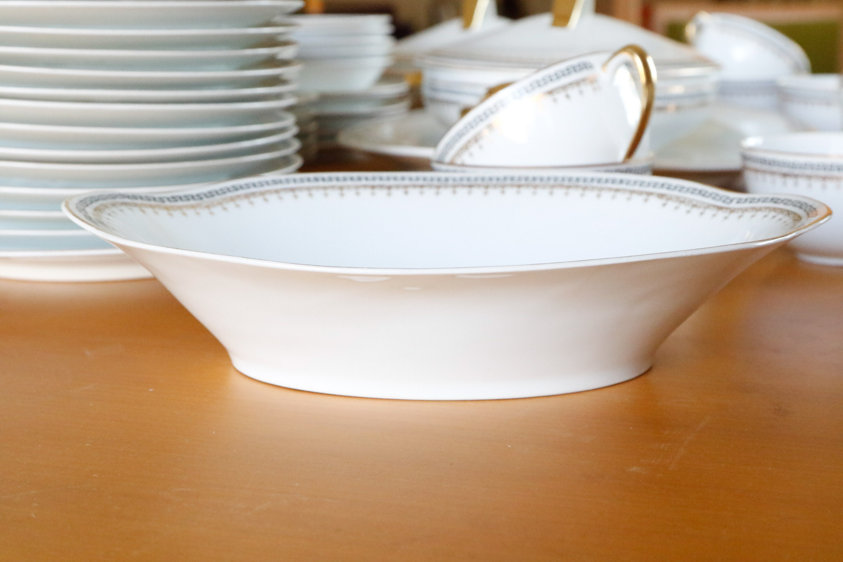 Austria Hub Fine China Dinnerware