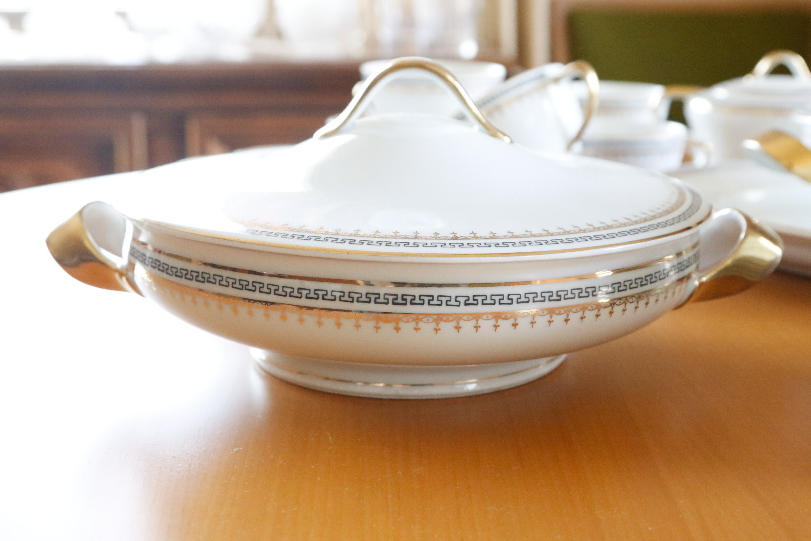 Austria Hub Fine China Dinnerware