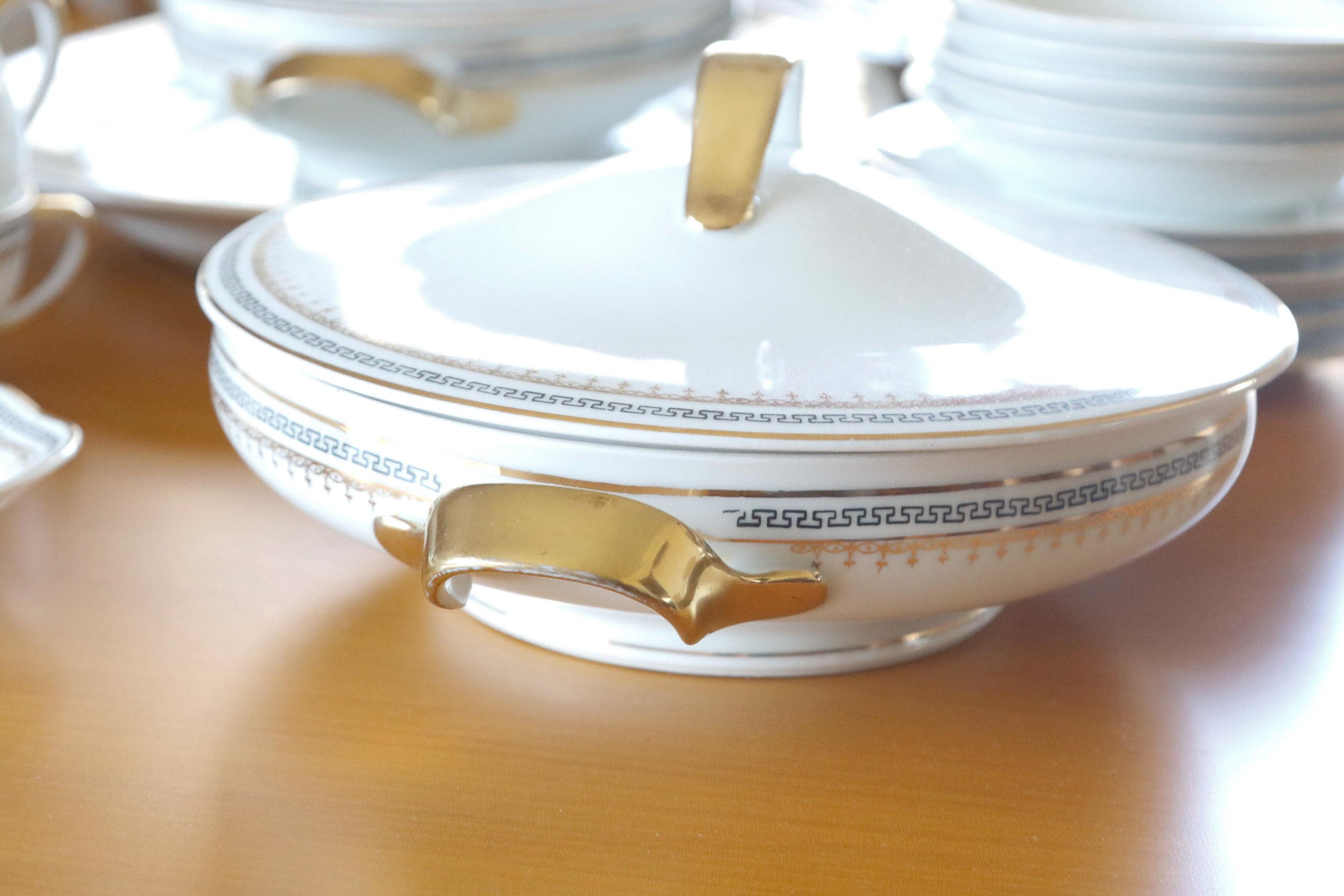 Austria Hub Fine China Dinnerware