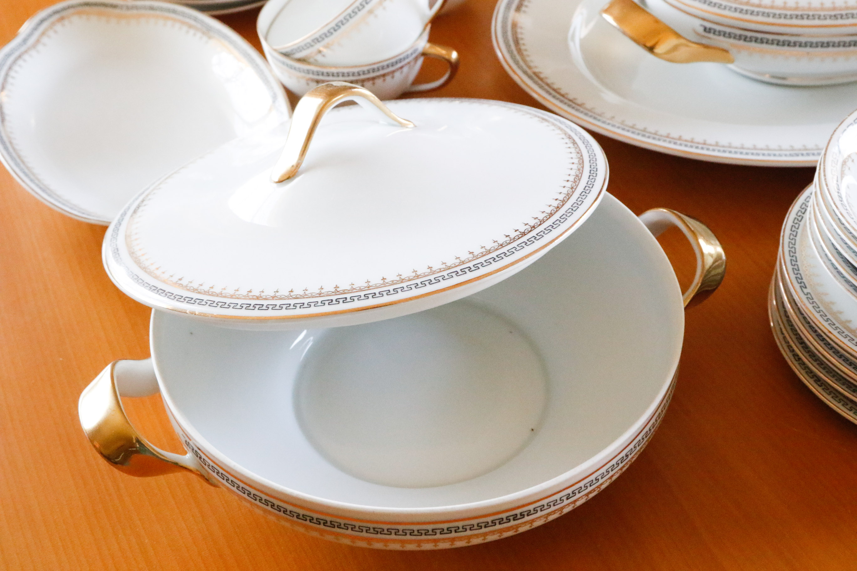 Austria Hub Fine China Dinnerware
