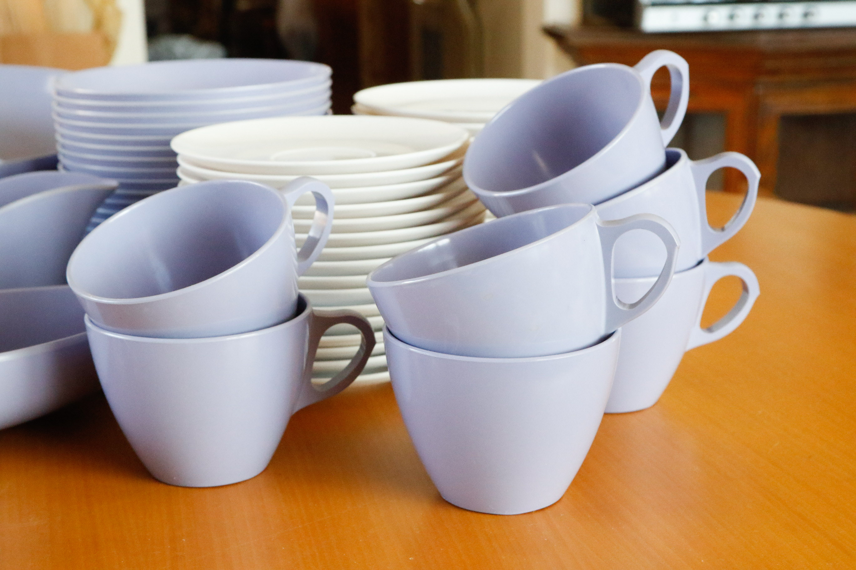 Royalon Melmac "Corsage" Table Settings for Sixteen