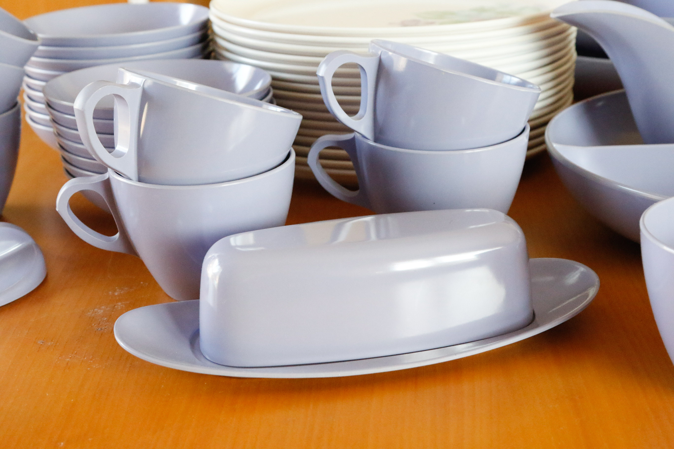 Royalon Melmac "Corsage" Table Settings for Sixteen