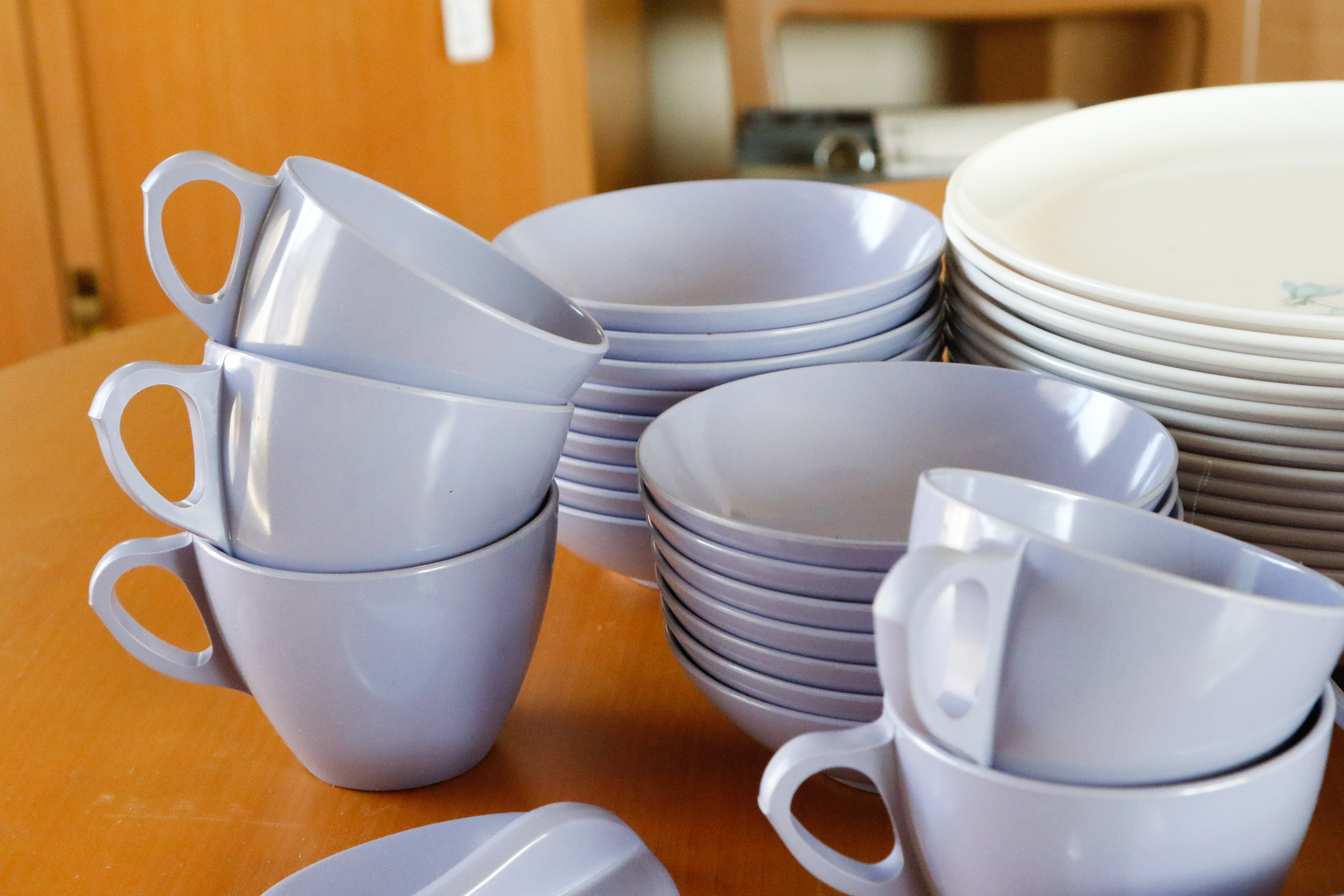 Royalon Melmac "Corsage" Table Settings for Sixteen