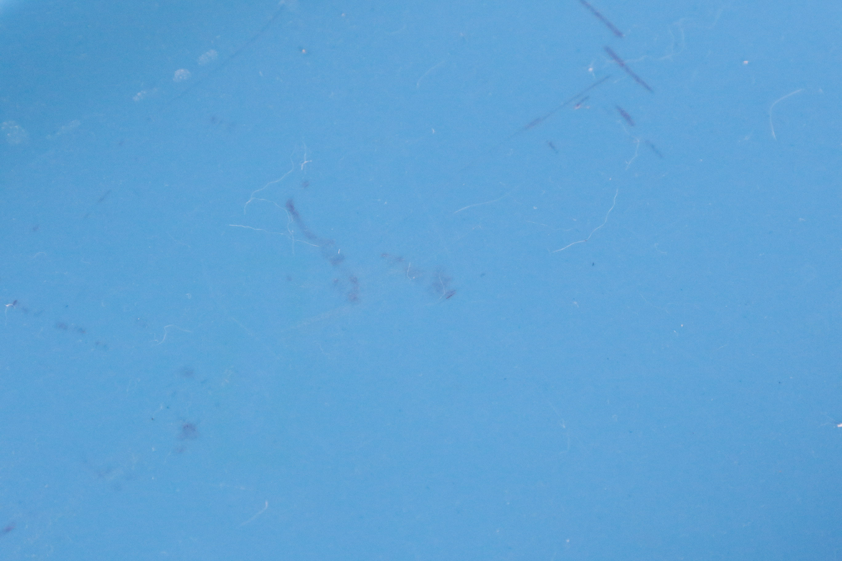 Collection of Mid-Century Bar and Serving Trays