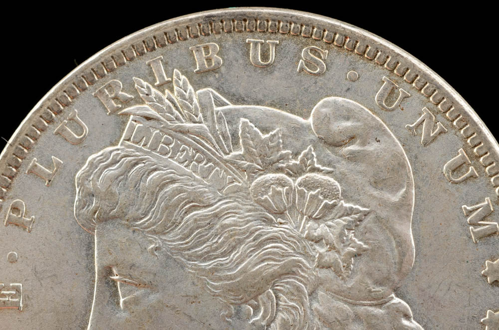 1891 Morgan Silver Dollar