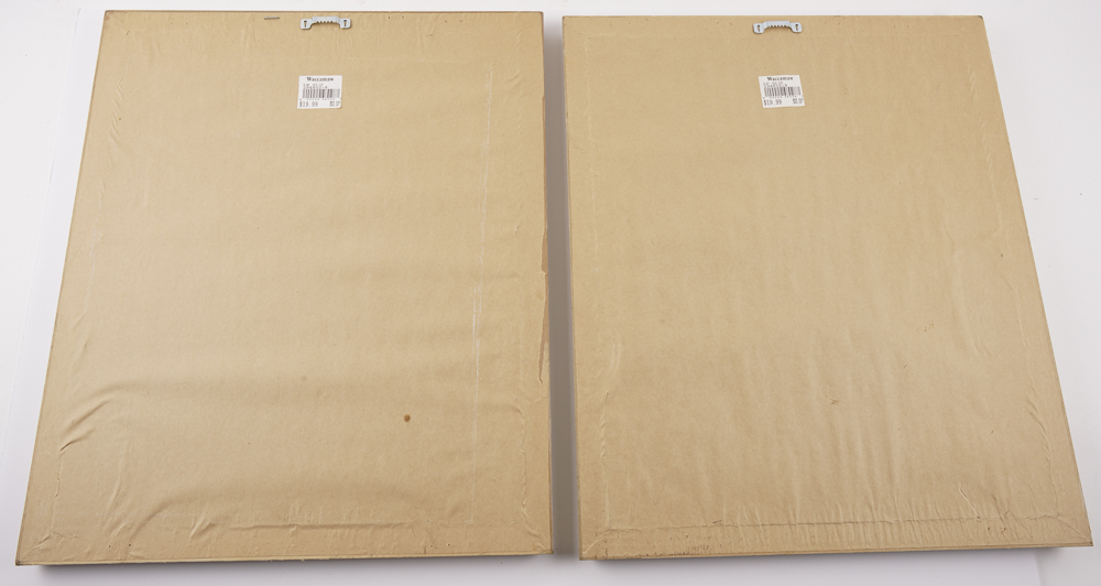 Pair of Barbara Mock Signed Watercolors