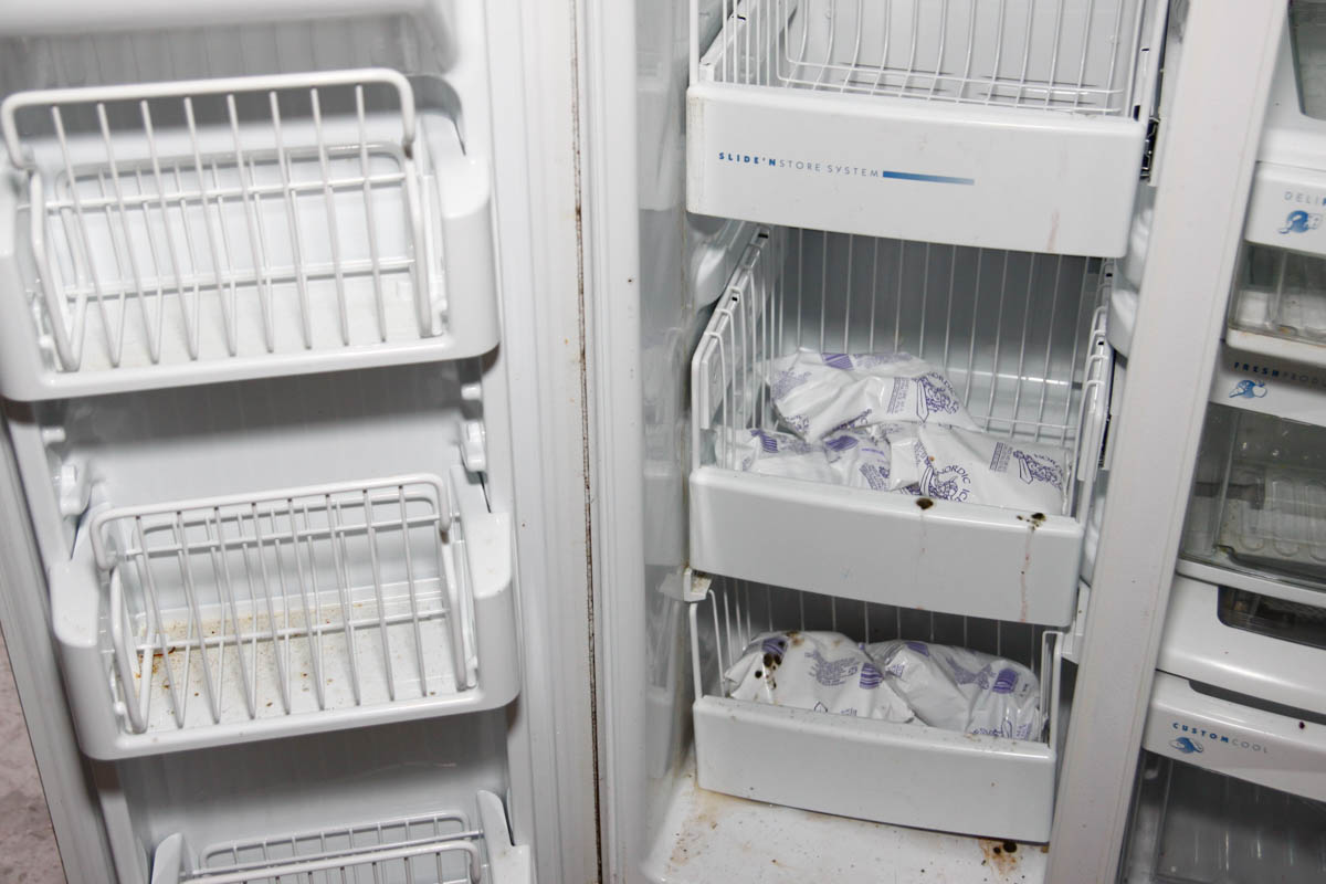 GE Profile Arctica Side-by-Side Refrigerator