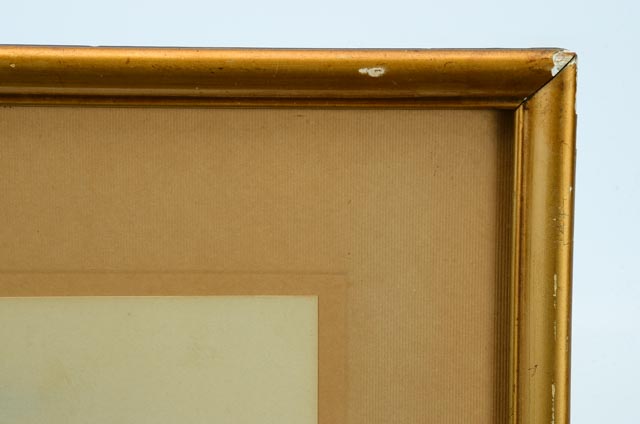 Hand-Colored Gelatin, Circa 1907