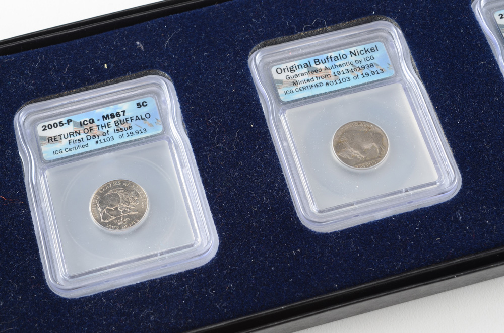 Buffalo Nickel Collection