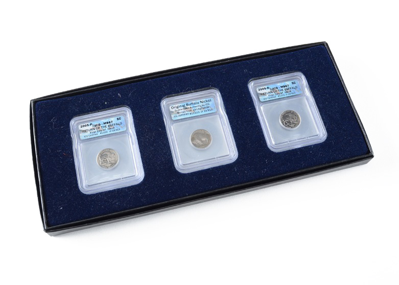 Buffalo Nickel Collection