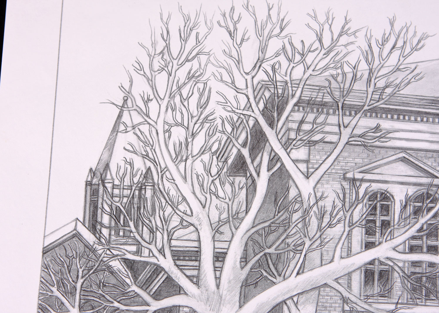 Offset Lithograph of Pencil Drawing by Tom Roberts