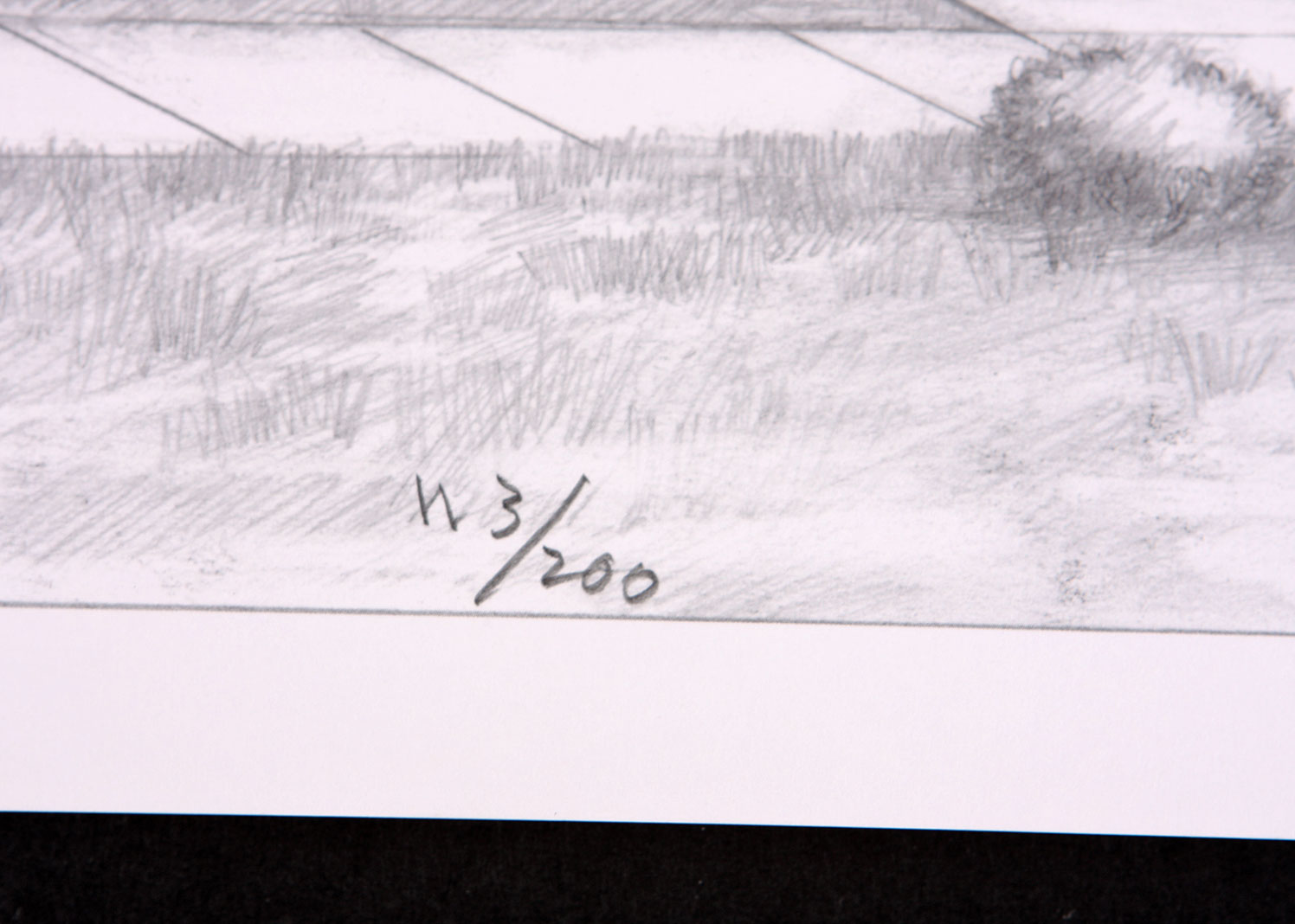 Offset Lithograph of Pencil Drawing by Tom Roberts