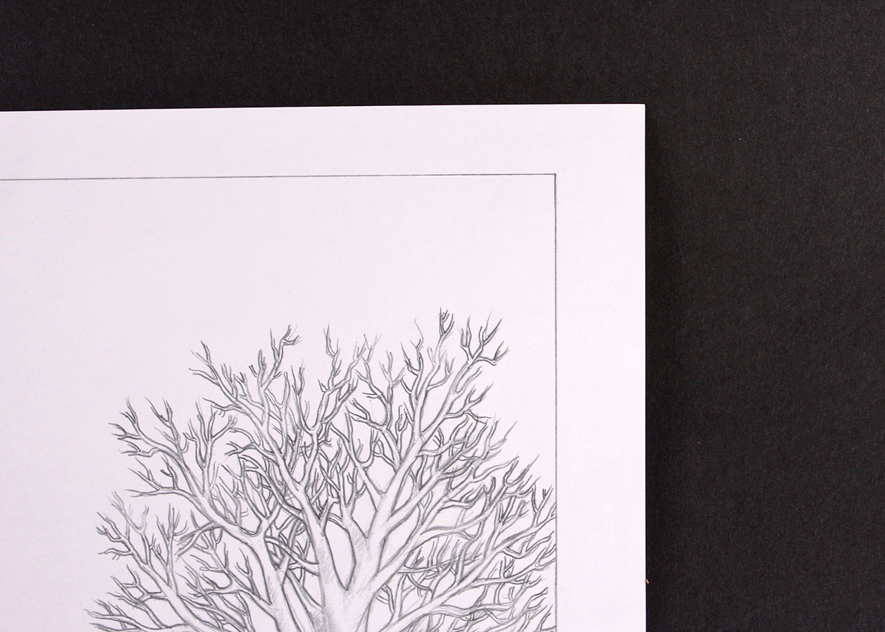 Offset Lithograph of Pencil Drawing by Tom Roberts