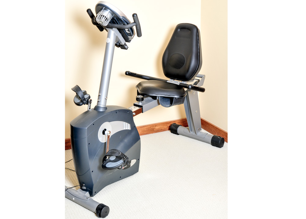 Schwinn 213 recumbent bike price 2025