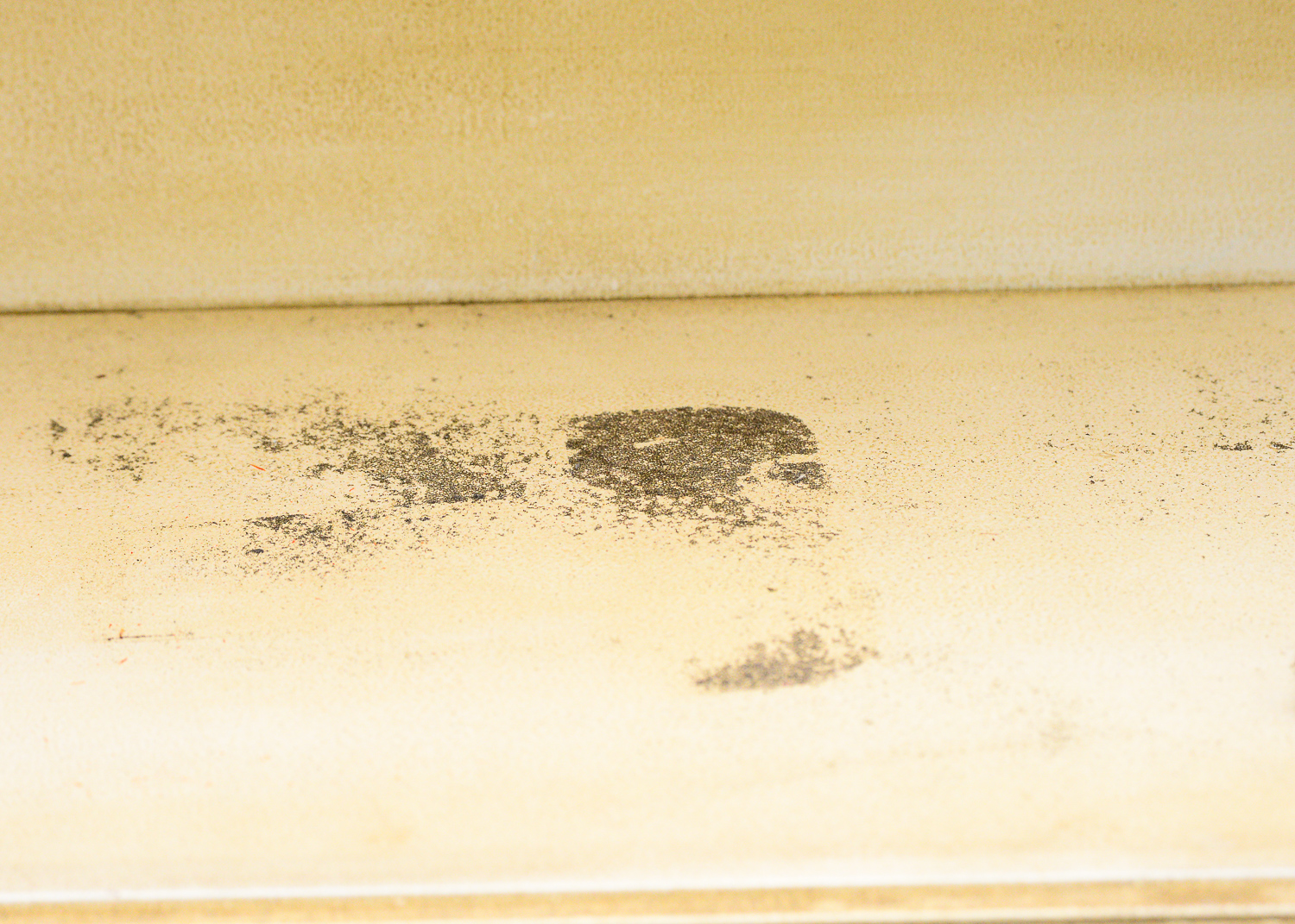 Distressed Oxbow Secretary