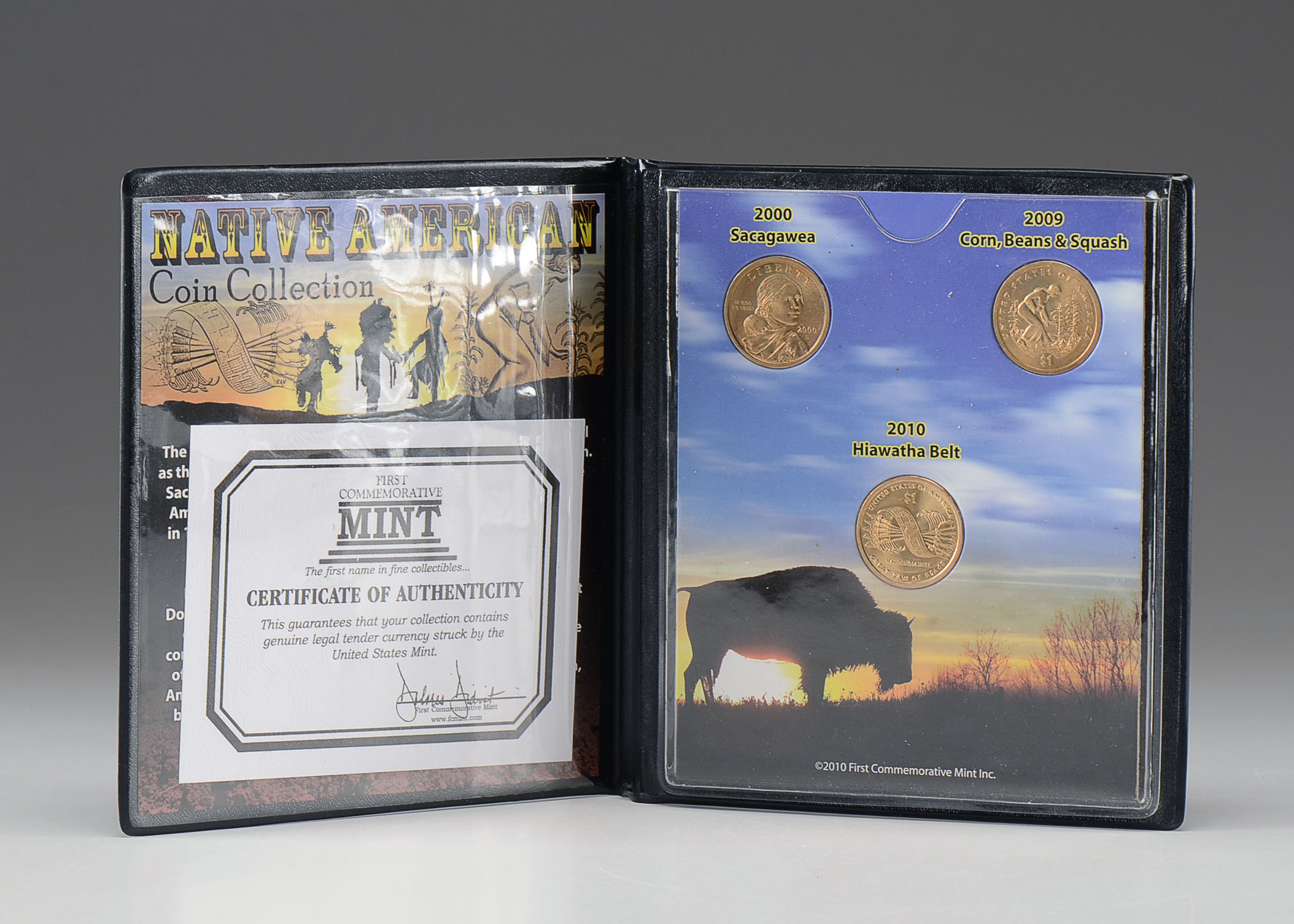 Native American Coin Collection