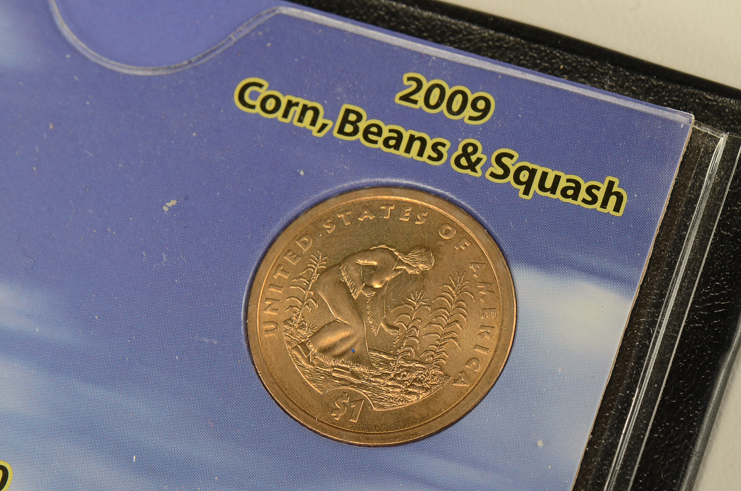 Native American Coin Collection