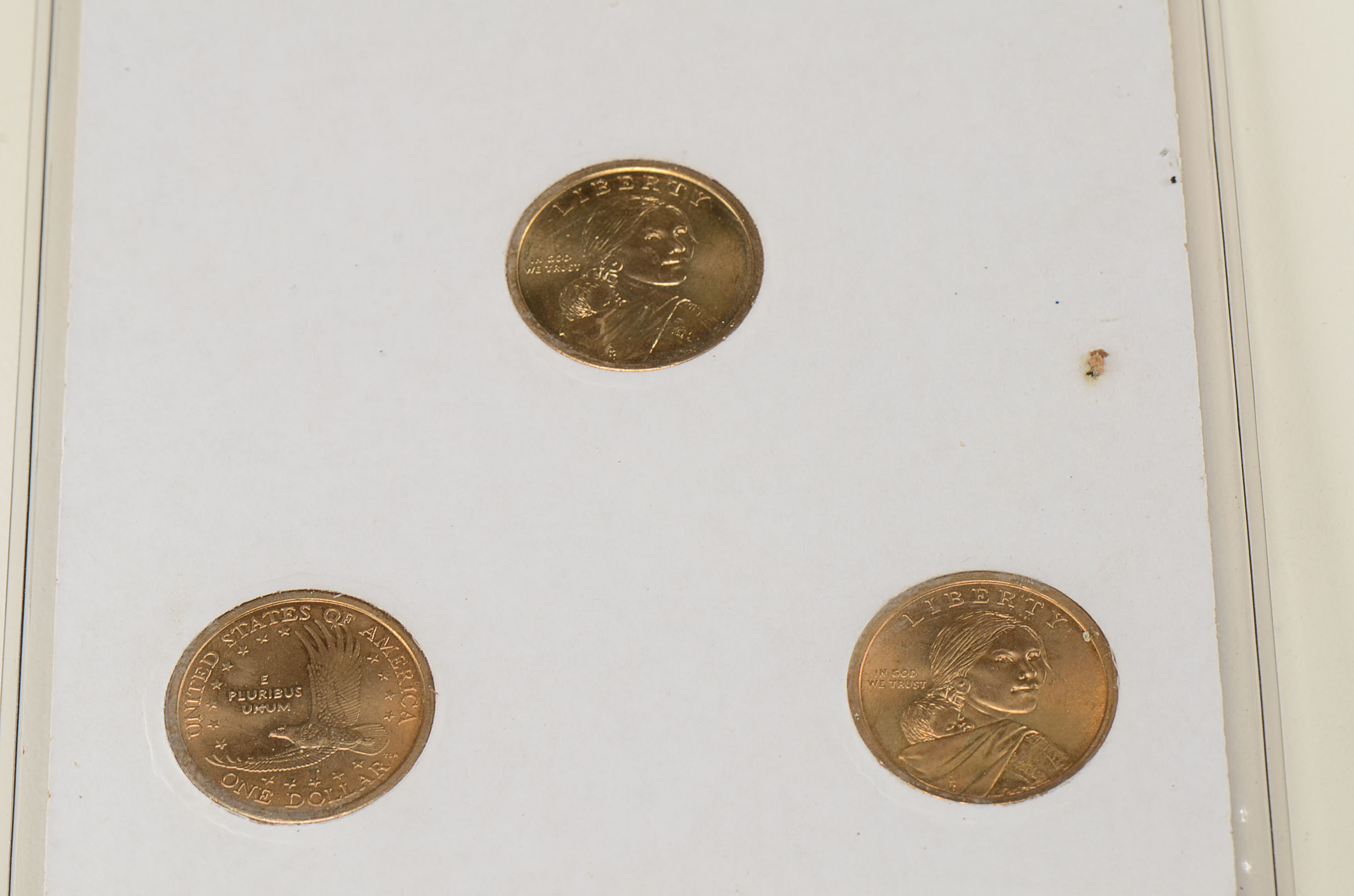 Native American Coin Collection