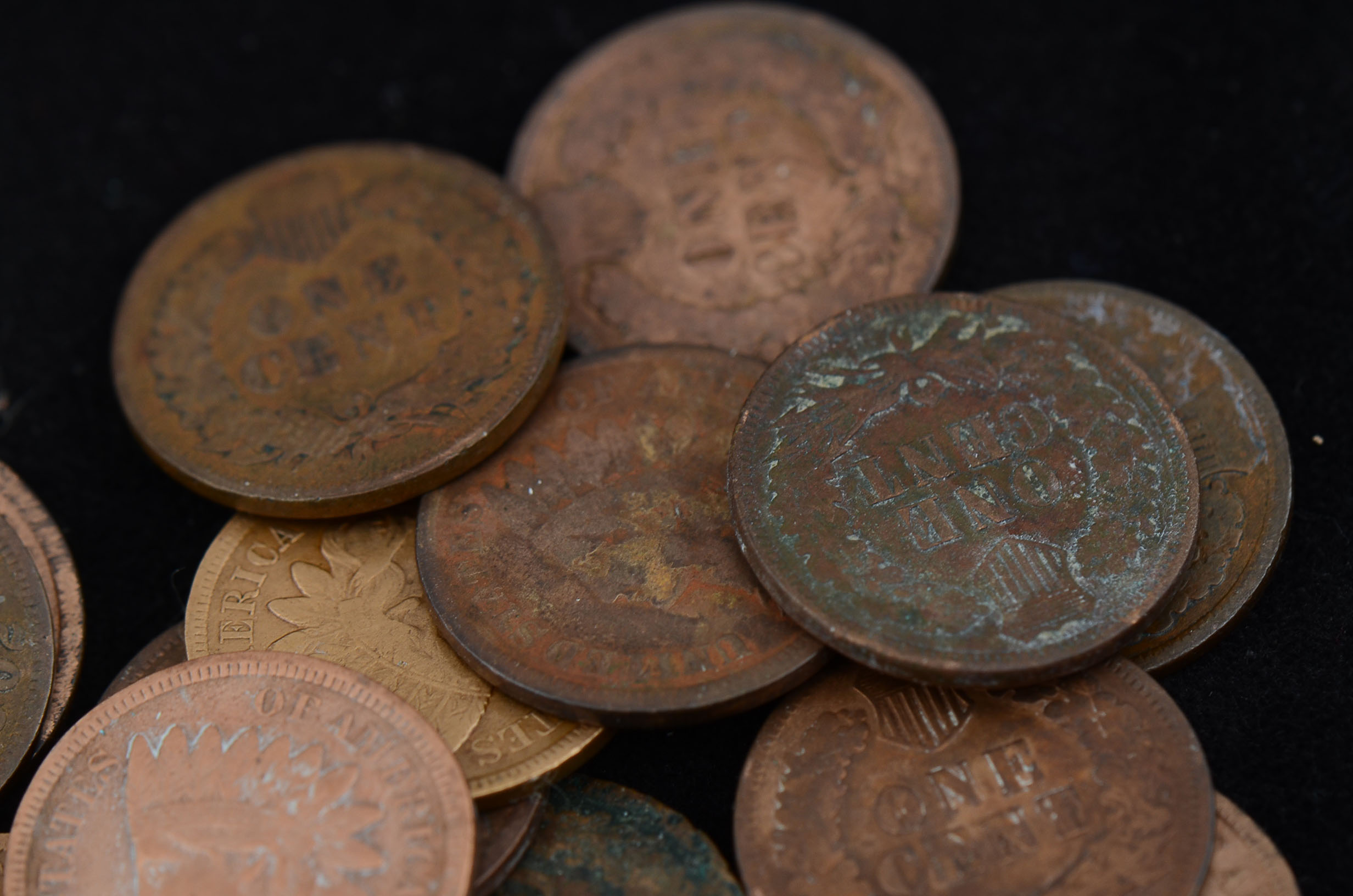 Group of (43) Unsearched Indian Head Pennies