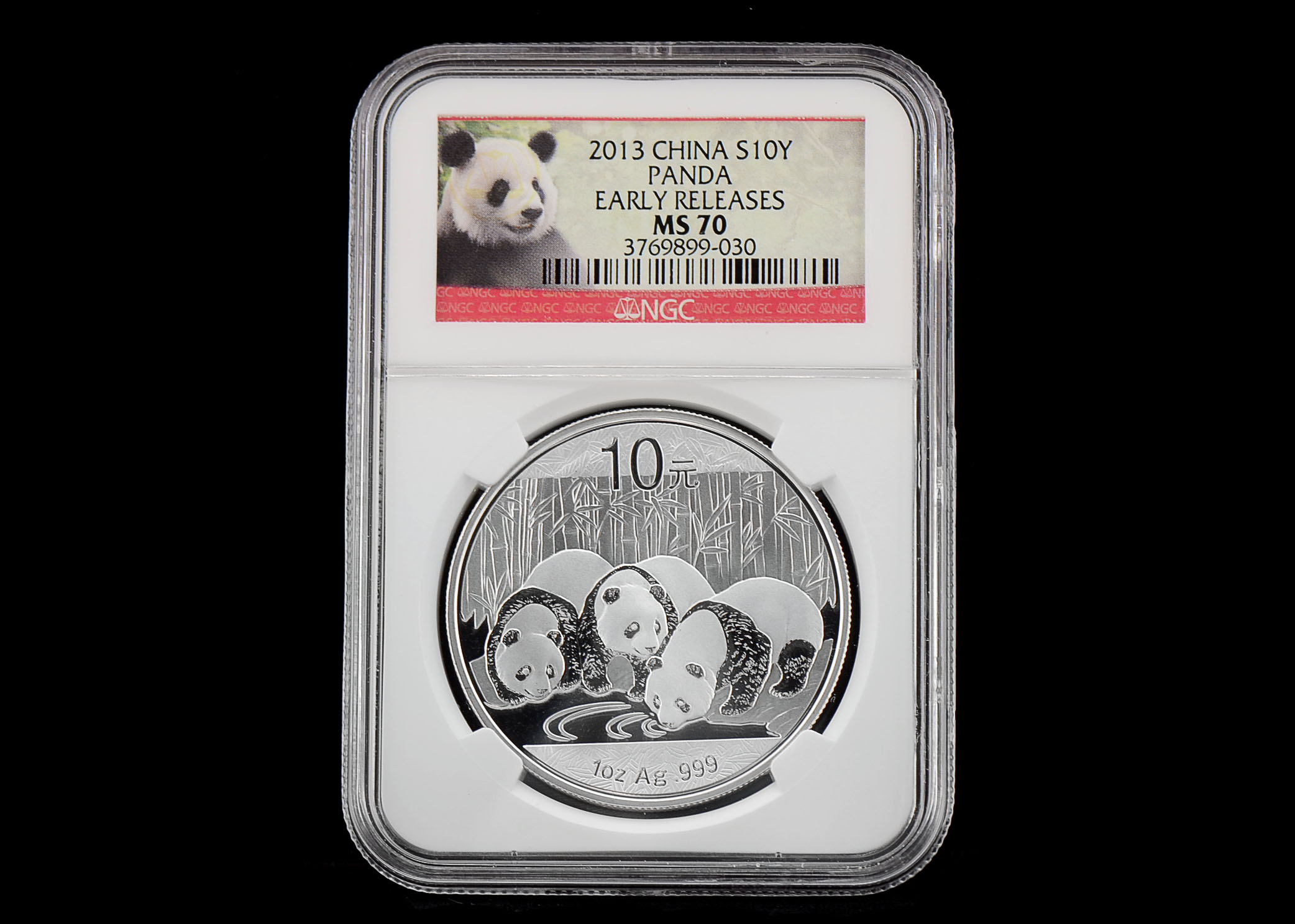 2013 China Panda Early Release 10 Yuan Silver Coin NGC MS70