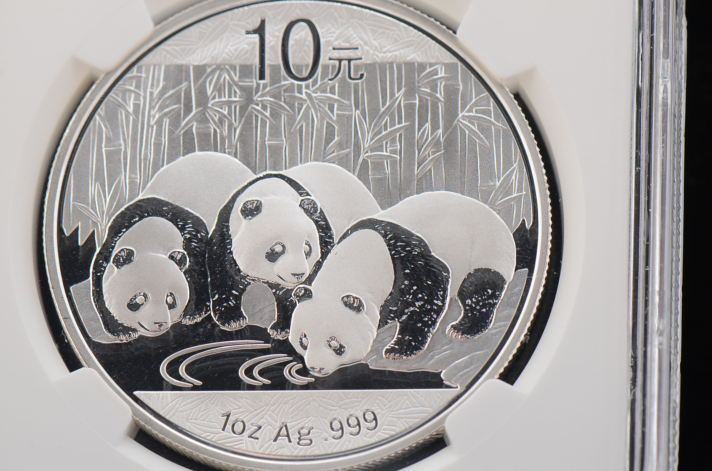 2013 China Panda Early Release 10 Yuan Silver Coin NGC MS70