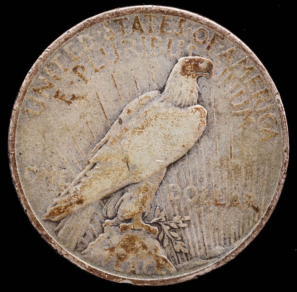 1924 Peace Silver Dollar