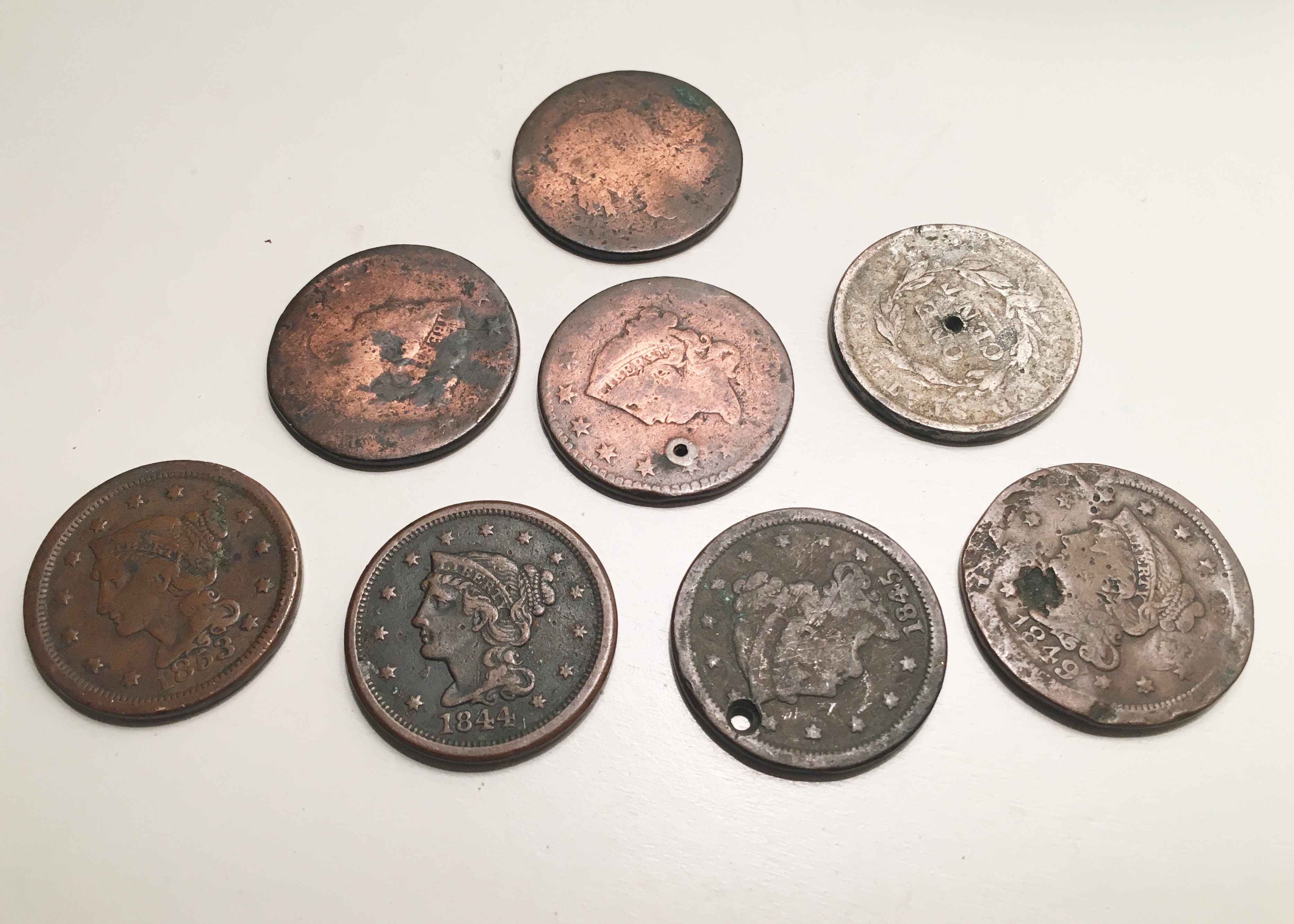 Eight 19th C. United States Large Cents